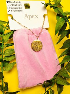 گردنبند پاکتی طرح ورساچه